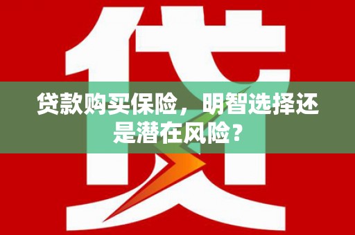 汤阴贷款购买保险，明智选择还是潜在风险？
