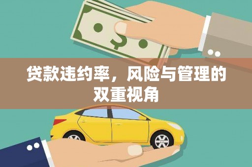 汤阴贷款违约率，风险与管理的双重视角