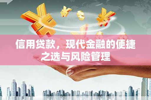 汤阴信用贷款，现代金融的便捷之选与风险管理