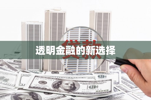 汤阴透明金融的新选择