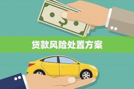 汤阴贷款风险处置方案