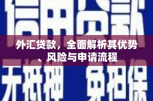 汤阴外汇贷款，全面解析其优势、风险与申请流程