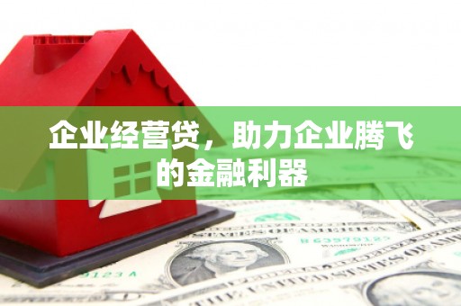 汤阴企业经营贷，助力企业腾飞的金融利器