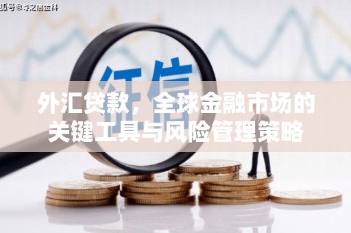 汤阴外汇贷款，全球金融市场的关键工具与风险管理策略