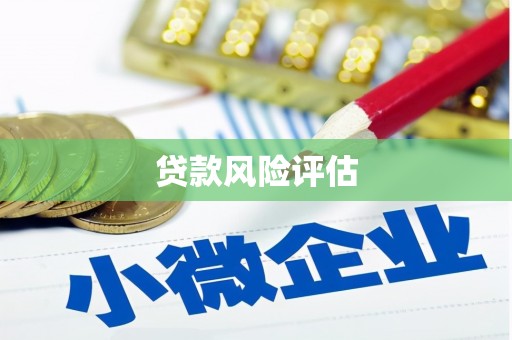 汤阴贷款风险评估