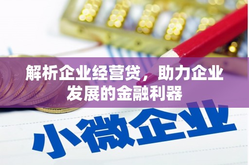 汤阴解析企业经营贷，助力企业发展的金融利器