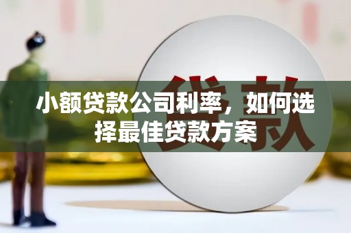 汤阴小额贷款公司利率，如何选择最佳贷款方案
