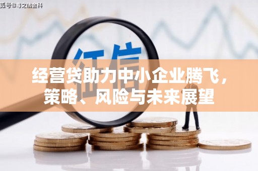 汤阴经营贷助力中小企业腾飞，策略、风险与未来展望