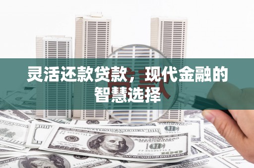 汤阴灵活还款贷款，现代金融的智慧选择