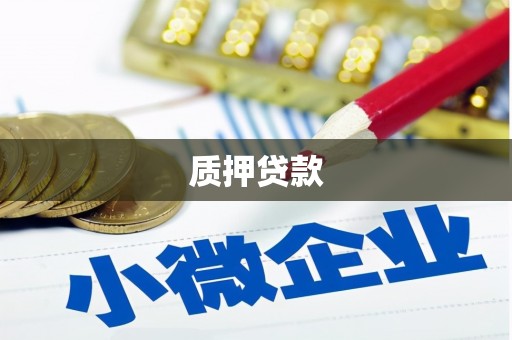 汤阴质押贷款