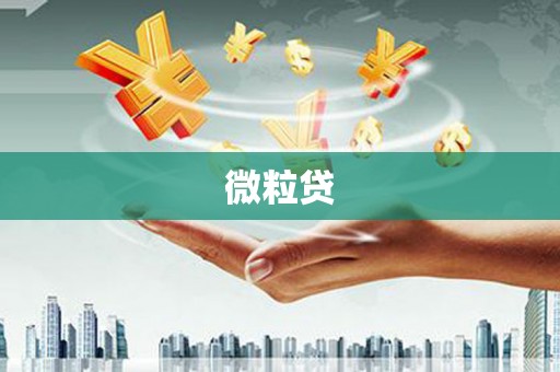 汤阴微粒贷
