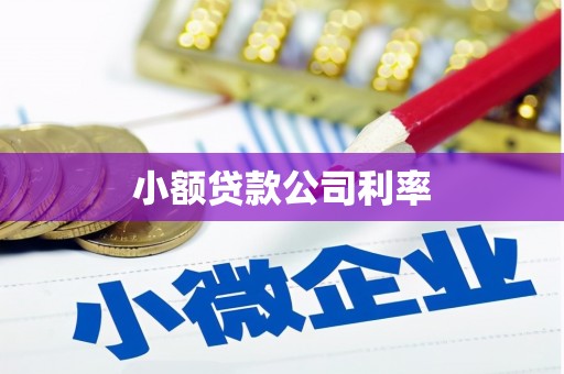 汤阴小额贷款公司利率
