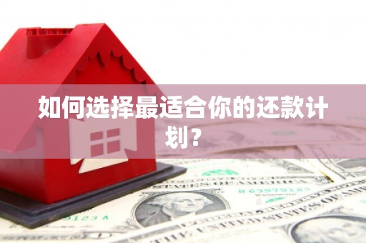 汤阴如何选择最适合你的还款计划？