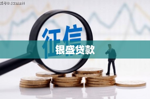 汤阴银盛贷款