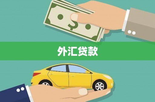 汤阴外汇贷款