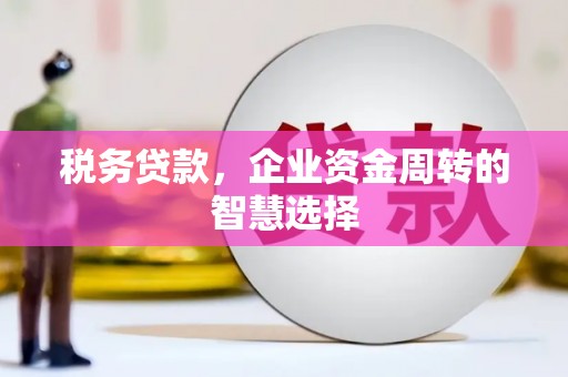 汤阴税务贷款，企业资金周转的智慧选择