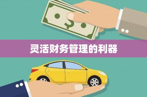 汤阴灵活财务管理的利器