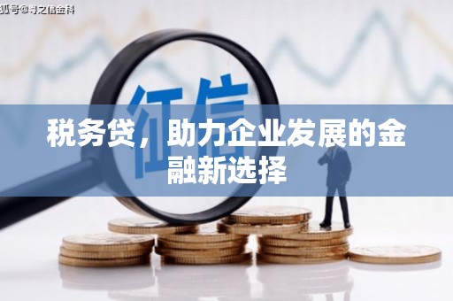 汤阴税务贷，助力企业发展的金融新选择