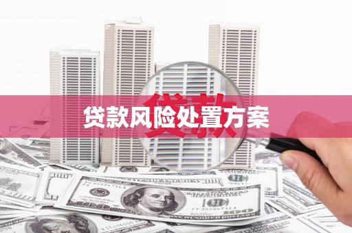 汤阴贷款风险处置方案