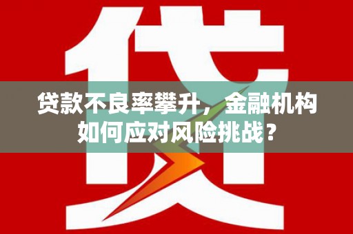 汤阴贷款不良率攀升，金融机构如何应对风险挑战？