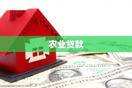 汤阴农业贷款