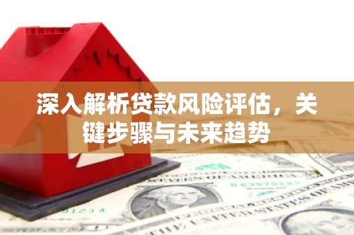 汤阴深入解析贷款风险评估，关键步骤与未来趋势