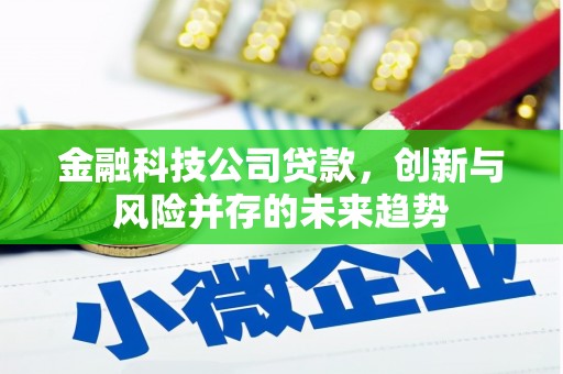 汤阴金融科技公司贷款，创新与风险并存的未来趋势