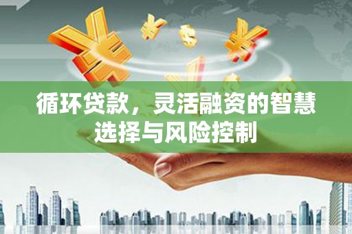 汤阴循环贷款，灵活融资的智慧选择与风险控制
