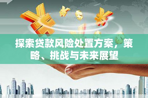 汤阴探索贷款风险处置方案，策略、挑战与未来展望