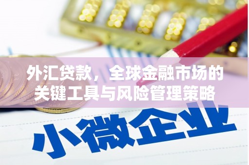 汤阴外汇贷款，全球金融市场的关键工具与风险管理策略