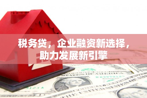 汤阴税务贷，企业融资新选择，助力发展新引擎
