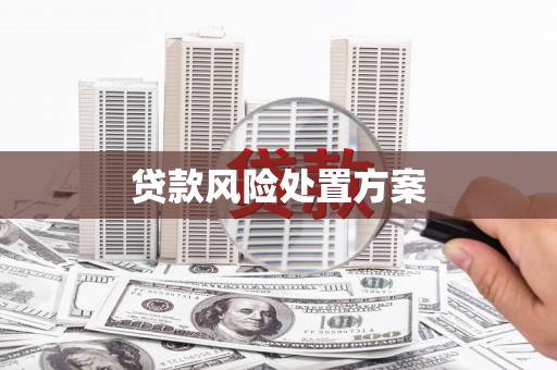 汤阴贷款风险处置方案