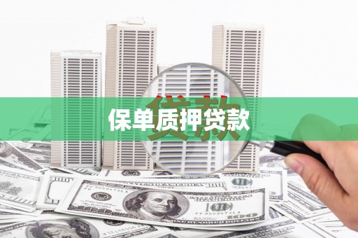 汤阴保单质押贷款
