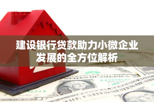汤阴建设银行贷款助力小微企业发展的全方位解析