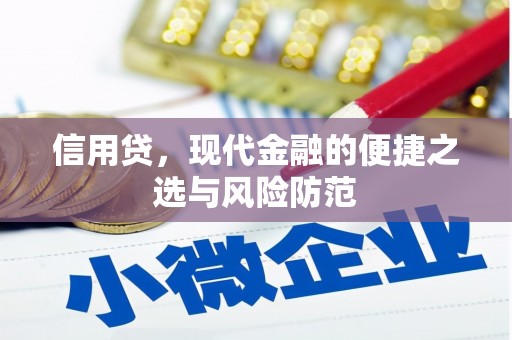 汤阴信用贷，现代金融的便捷之选与风险防范