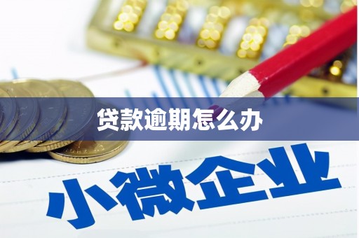 汤阴贷款逾期怎么办