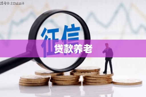 汤阴贷款养老