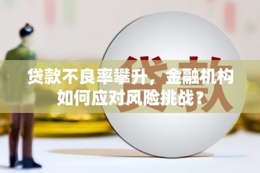 汤阴贷款不良率攀升，金融机构如何应对风险挑战？