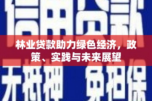 汤阴林业贷款助力绿色经济，政策、实践与未来展望