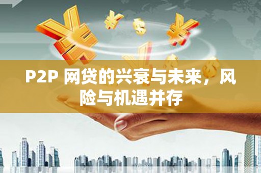 汤阴P2P 网贷的兴衰与未来，风险与机遇并存