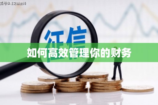 汤阴如何高效管理你的财务