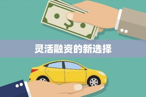 汤阴灵活融资的新选择