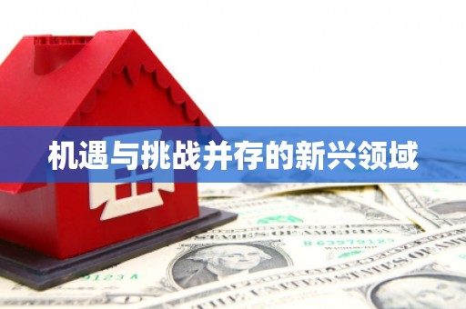 汤阴机遇与挑战并存的新兴领域