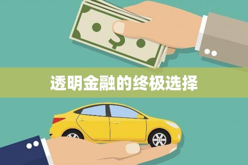 汤阴透明金融的终极选择