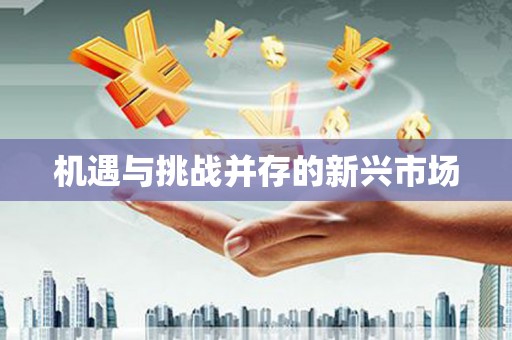 汤阴机遇与挑战并存的新兴市场