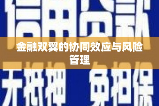 汤阴金融双翼的协同效应与风险管理