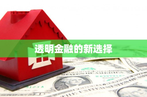 汤阴透明金融的新选择