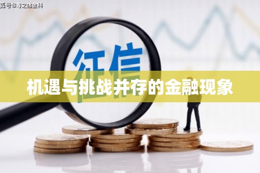 汤阴机遇与挑战并存的金融现象