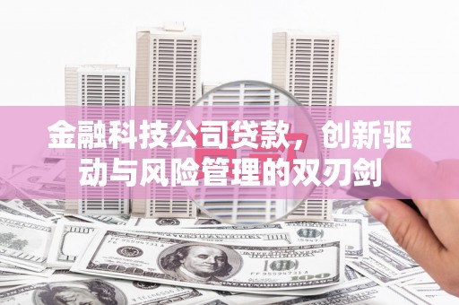 汤阴金融科技公司贷款，创新驱动与风险管理的双刃剑
